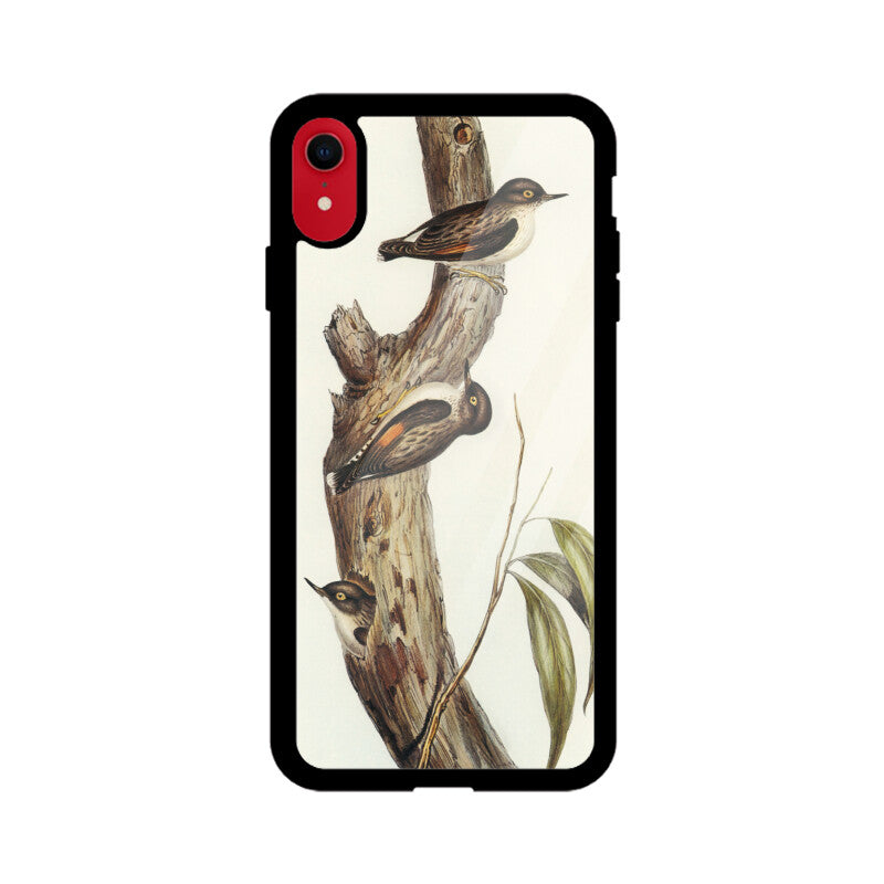 Apple iPhone XR Glass Phone Case – Indian Traditional Bird Art